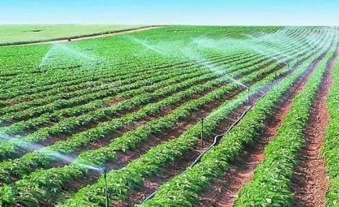 操嫩逼视频农田高 效节水灌溉
